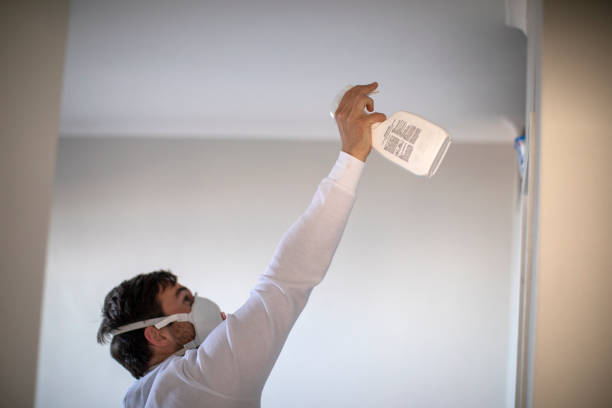 Best Mold Remediation Services  in Jesup, IA